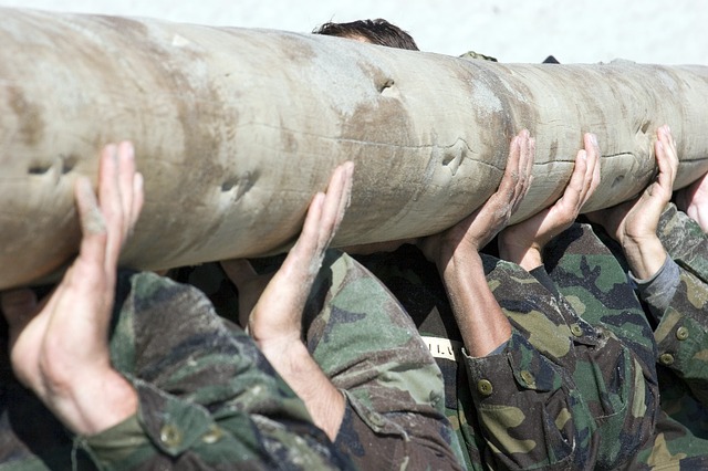 log-647052_640